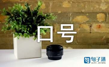 公司团队的励志口号