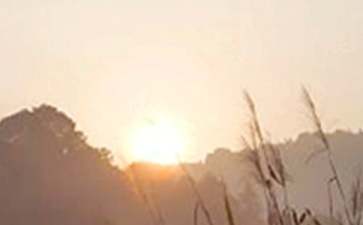 早安的励志说说