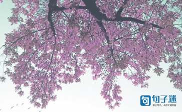 秋季写景诗词（精选55句）