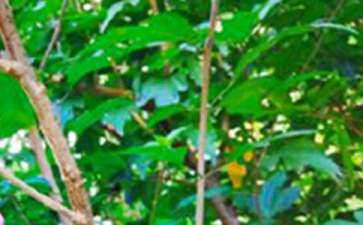 早安正能量句子汇编85句