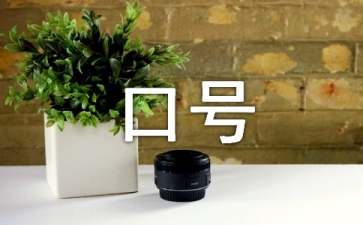 团队口号大全标语