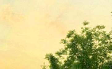 早安正能量语句集锦30条