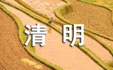 清明文明祭祀宣传口号