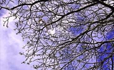 简洁的正能量早安句子66条