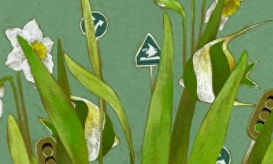 写人的作文500字（写人的作文500字我的奶奶）
