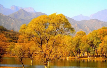 心情说说感悟生活句子（高情商发朋友圈的句子）