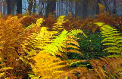 运动会口号简单押韵有气势（运动会口号简单押韵有气势三班）