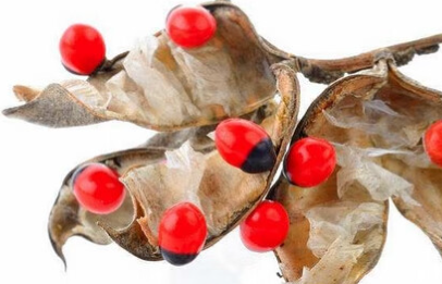 相思古诗词王维表达的情感（相思王维表达情感）