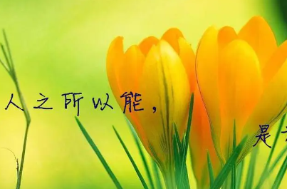 励志的句子经典语句简短（英语励志的句子经典语句简短）