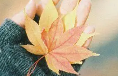 心情说说感悟生活有哪些（心情说说的图片及句子）