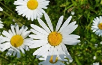 朋友圈说说心情短语人生感悟（短短一句,说透人生）