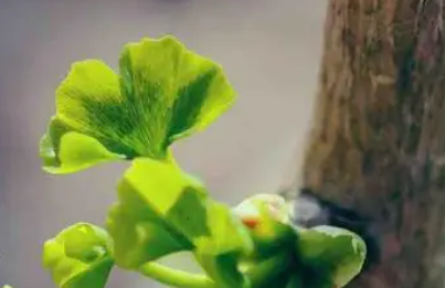 励志的句子经典语句简短霸气（格局大气经典语句）