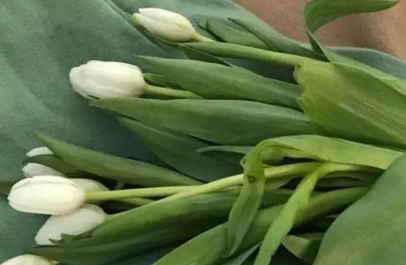 朋友圈说说心情短语文案（一句简短走心文案）