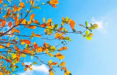 励志座右铭的经典句子（励志座右铭有哪些）