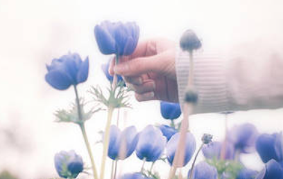 生活感悟经典句子（生活感悟经典句子图片带文字）