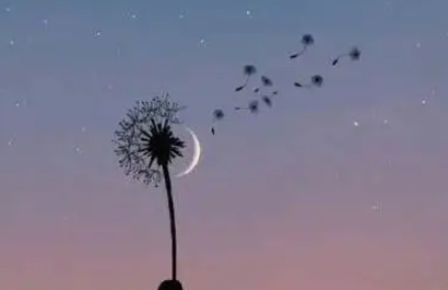 生活感悟经典句子集锦（生活感悟经典句子集锦繁星）