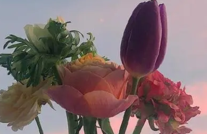  生活感悟经典句子,句句精辟透彻（生活感悟经典句子短句）