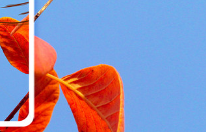 莫言经典语录人生感悟（莫言经典语录人生感悟图片）