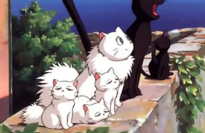 宫崎骏经典语录摘抄（宫崎骏说过最浪漫的一句情话）