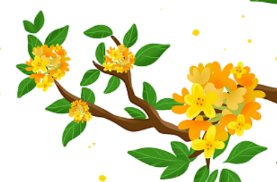 描写桂花的优美段落（形容桂花的好句好段）