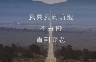 华为公司励志（关于华为的励志文章）