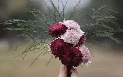 对的时间对的人顾西爵全文免费阅读（我念你如初 顾西爵全文免费阅读）