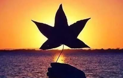 平平淡淡的生活,简简单单的幸福说说（简单而知足平淡而幸福的句子）