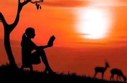 平平淡淡的生活是什么样子的（平平淡淡的生活经典句子）