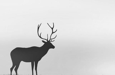 傅雷家书好词好句摘抄100句（傅雷家书第三章好词好句）