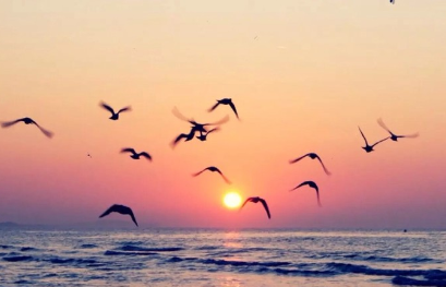 傅雷家书的好词好句好段摘抄（傅雷家书词语摘抄50带意思）