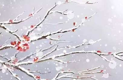 雪梅古诗其二的感受（卢钺的雪梅其一的诗意）