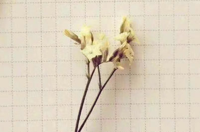 让人担心的句子（表达担心和牵挂老公的句子）