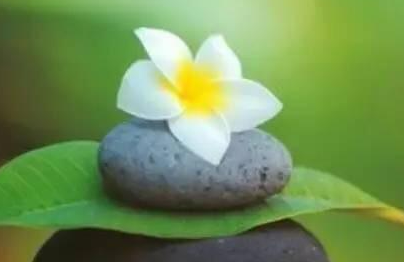 形容心境淡然与世无争的诗句（与世无争内心宁静的唯美句子）