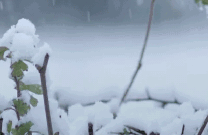 下雪的说说（春天下雪的幽默句子）