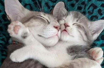 世上没有人比你更重要是什么歌（我比谁都能明白你的重要是什么歌）