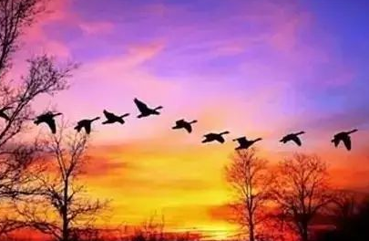 世上没有人比你更重要读后感（忠诚比能力更重要读后感）