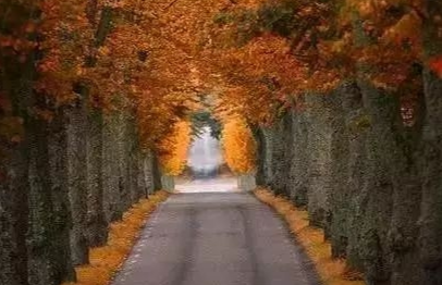 世上没有人比你更重要在线（他在陪比你更重要的人）