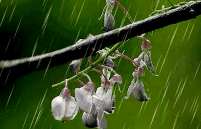 三月的简短寄语怎么写（三月祝福语最温馨的话怎么写）