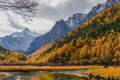 又是一年秋天的经典诗句（又是一年秋叶黄的感慨）