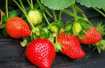 三月份的寄语（三月祝福语最温馨的话怎么写）