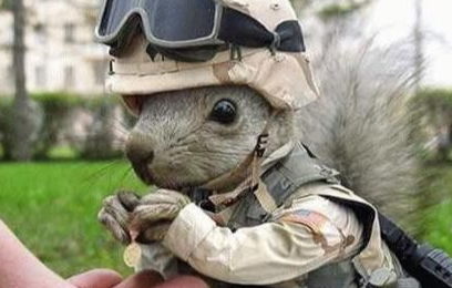 搞笑语句笑死人一句话（搞笑语录经典短句子）