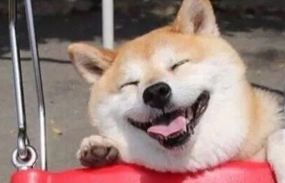 搞笑语句大全爆笑（爆笑简短笑话大全）