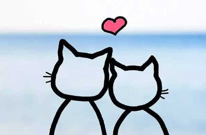 情人节寄语怎么写（情人节寄语暖心话）