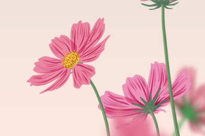 情人节寄语给老婆（给老婆孩子的简短寄语）