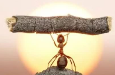 活出全新的自己内容简介（活出全新的自己结尾什么意思）