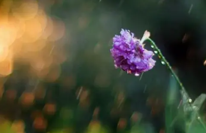 父爱的优美句子结尾（表达父爱最感人的句子）