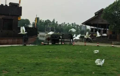 心情随笔是什么意思（心情随笔怎么写）