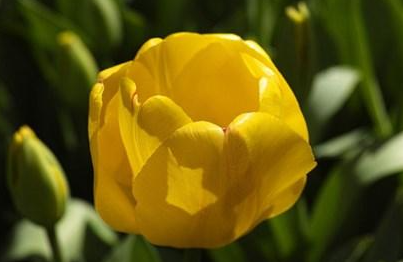 哲理人生感悟心情随笔（哲理句子 人生感悟）