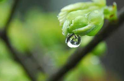 雨水文案短句干净治愈（雨水的文案短句唯美）