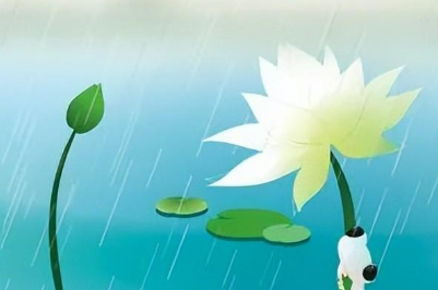 雨水文案50句精选（雨水节气文案短句干净简短）